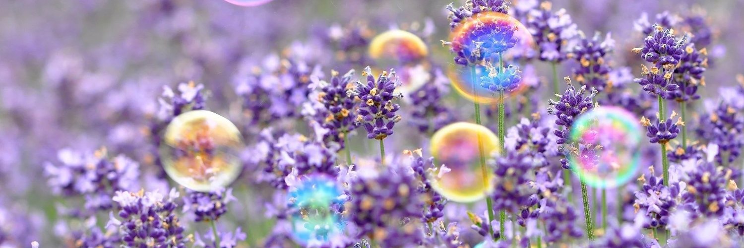 daniquinn99's profile banner image
