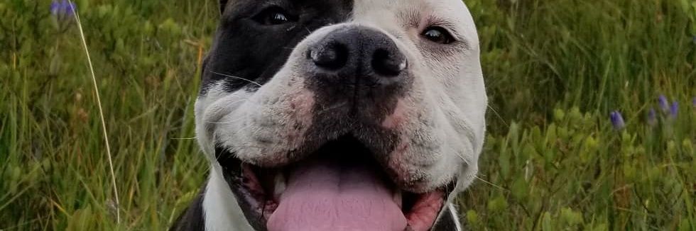 USSN8's profile banner image