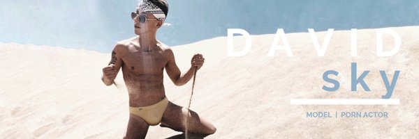 DavidSkyXXX Profile Banner