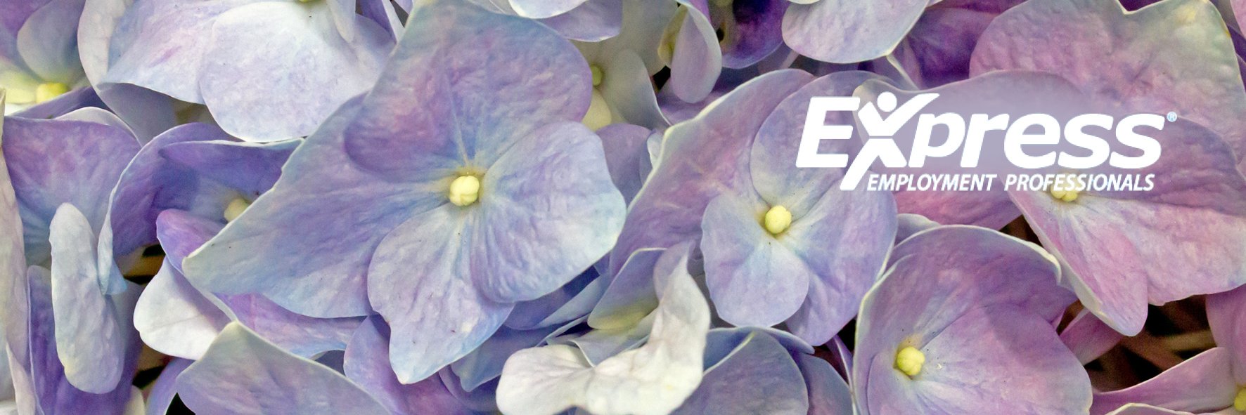 ExpressProsRH's profile banner image