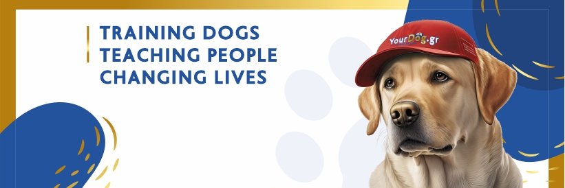 yourdog_gr's profile banner image
