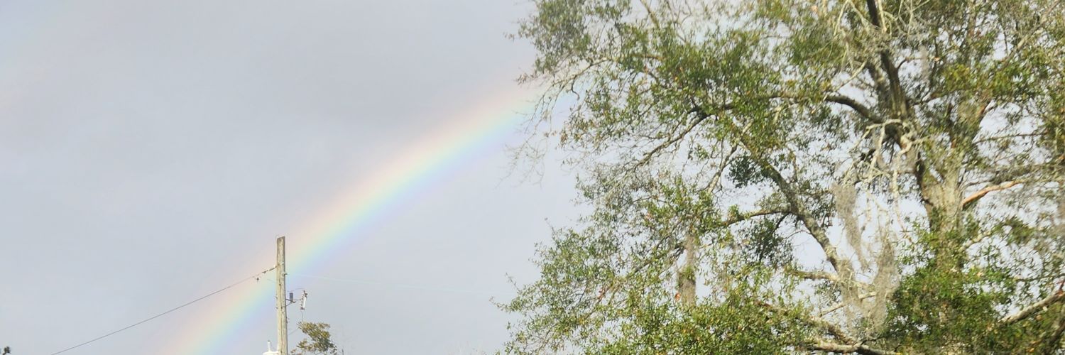 makeenou's profile banner image