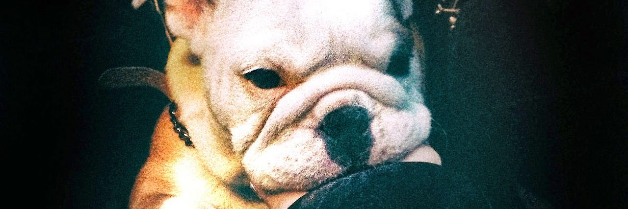 Kaulitz__Bill's profile banner image