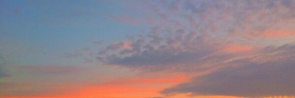 chellemck Profile Banner