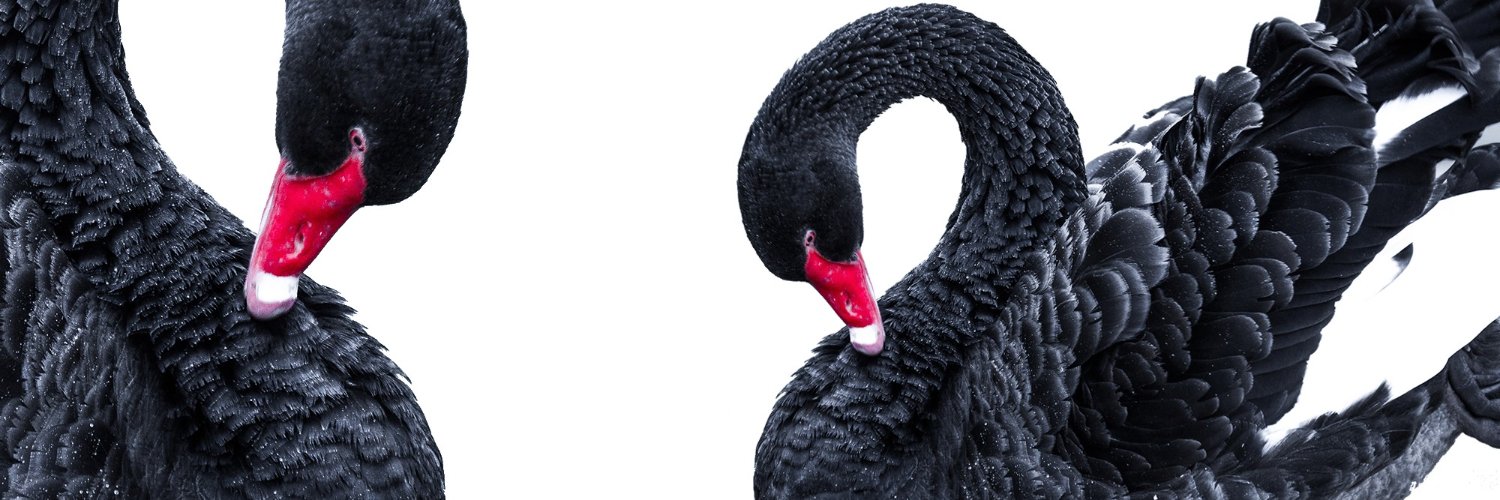 ManlioETeran's profile banner image