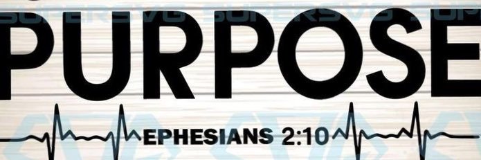 renea_erin's profile banner image