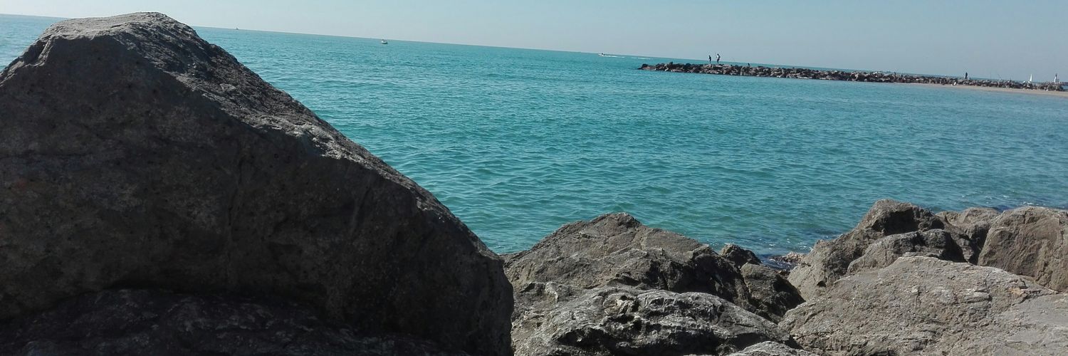 leoniedub's profile banner image
