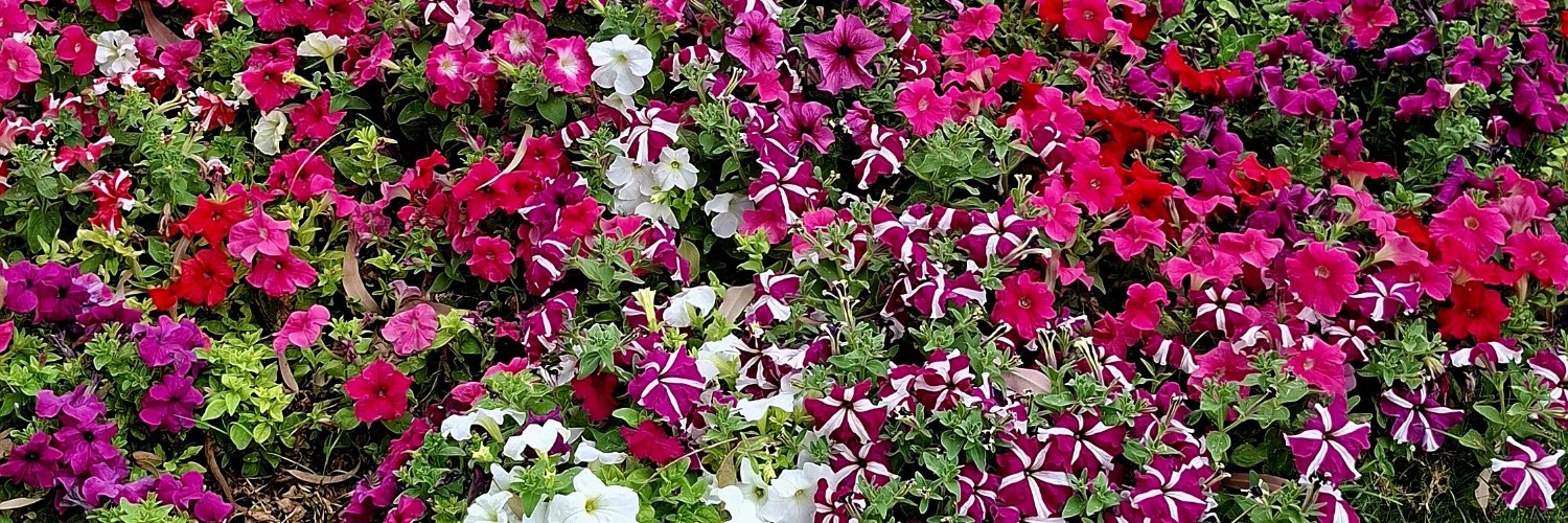 Dr_APreet_K's profile banner image