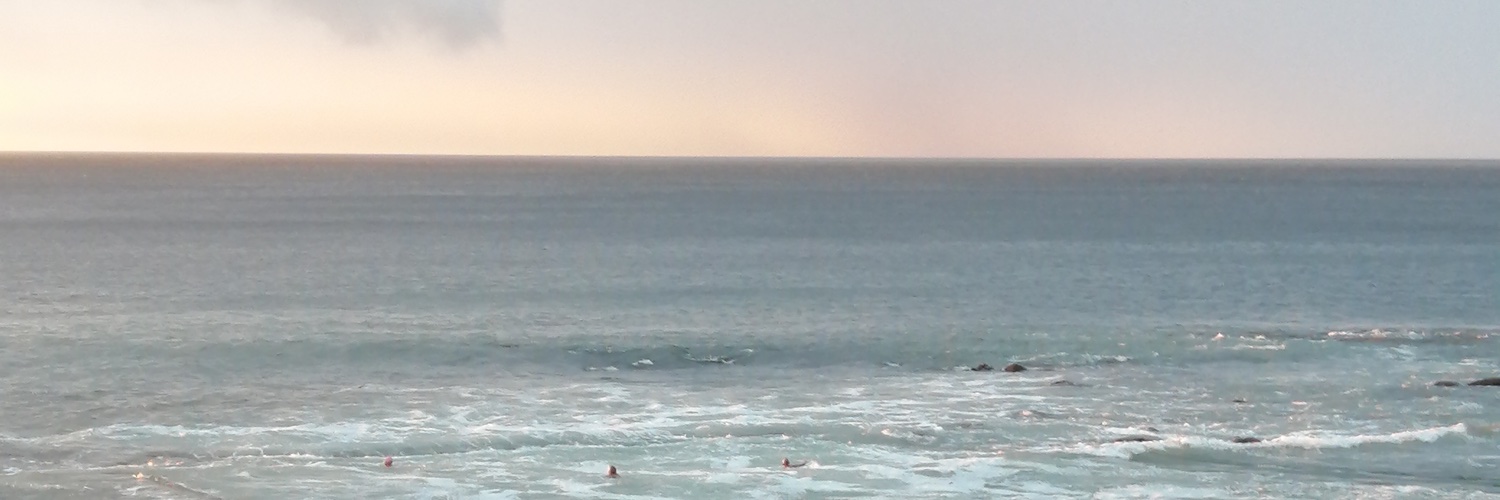 Linda d'Holt-Hackner banner