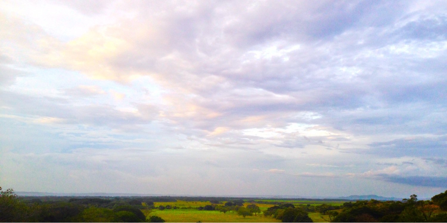 Esteban Cheng Ching banner