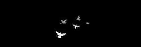 Noha_Only's profile banner image