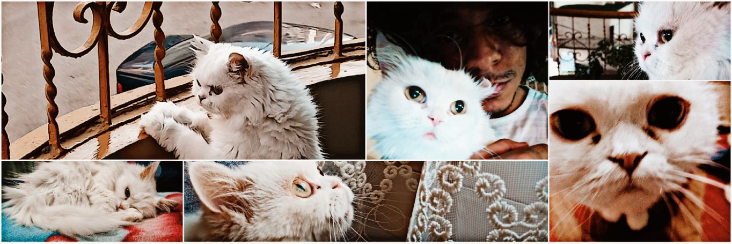 Ahmed3bnaser's profile banner image