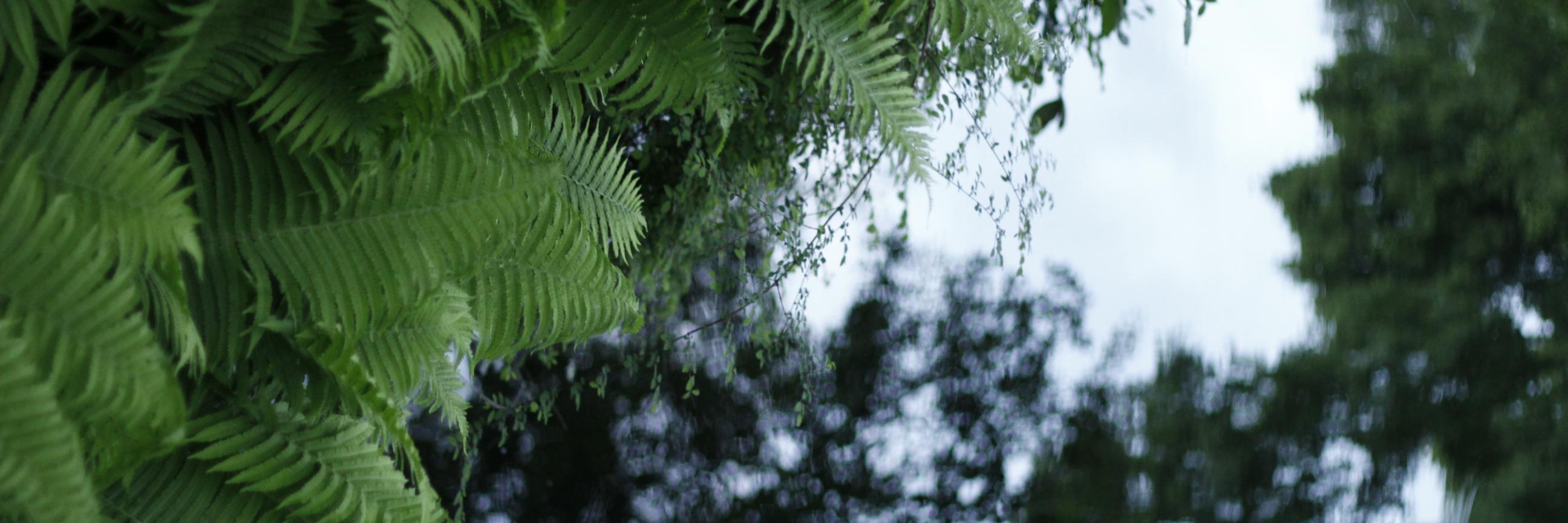 StudioArto's profile banner image