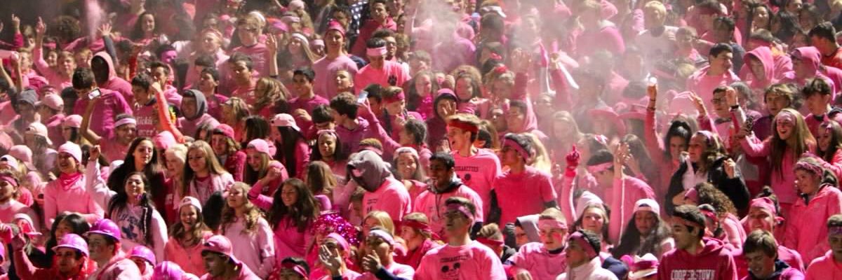 Cougar Crazies banner