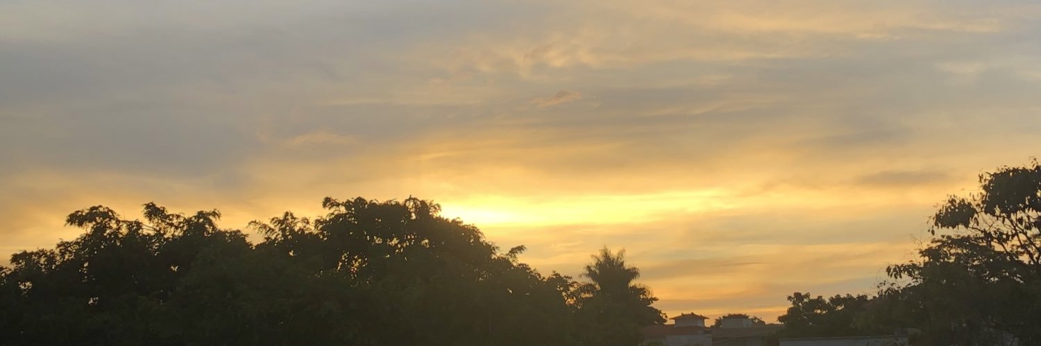 wericacouto's profile banner image
