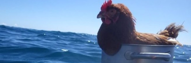 mar_yjo13's profile banner image