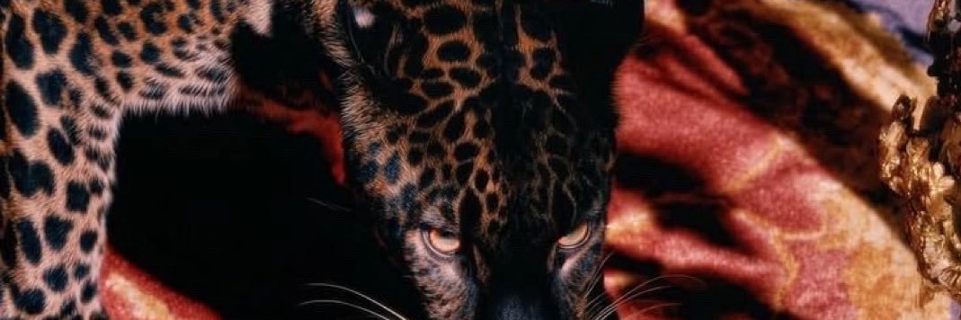 FLWRCHLD 🌸 banner