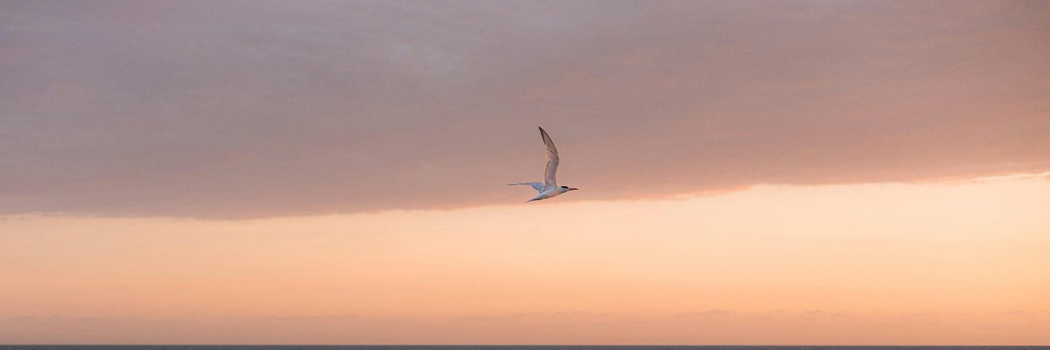 khalid_elmo's profile banner image