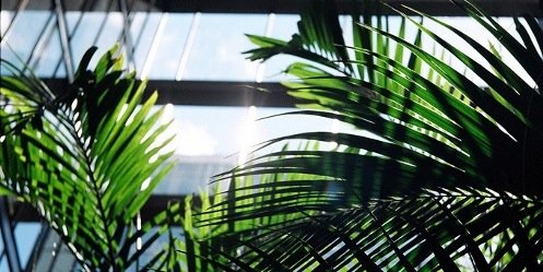 FinesseChief's profile banner image