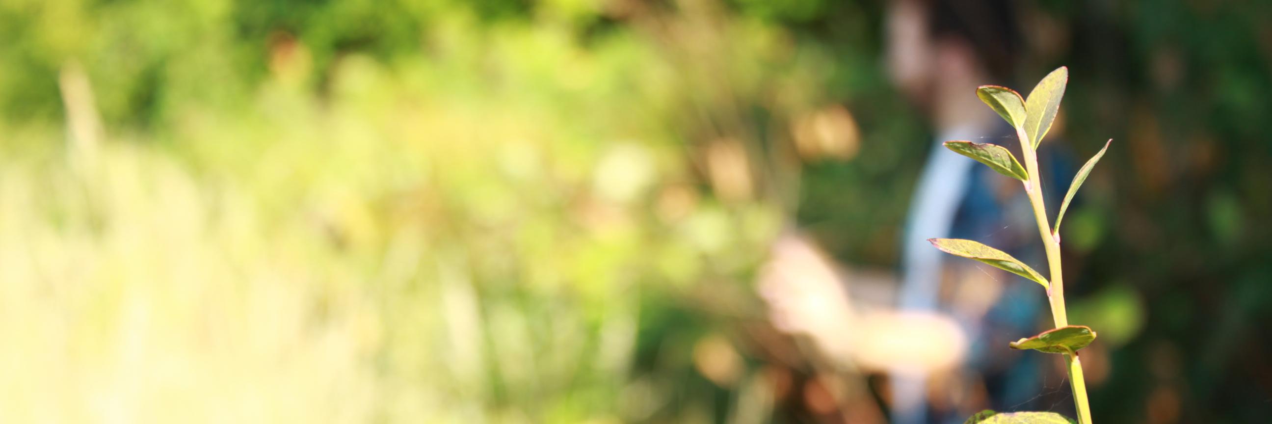 ShayScholes's profile banner image