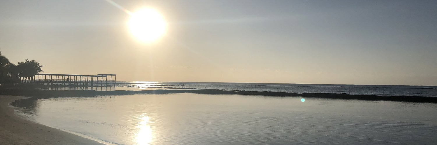 LesleyEm's profile banner image