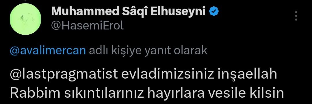 avalimercan's profile banner image