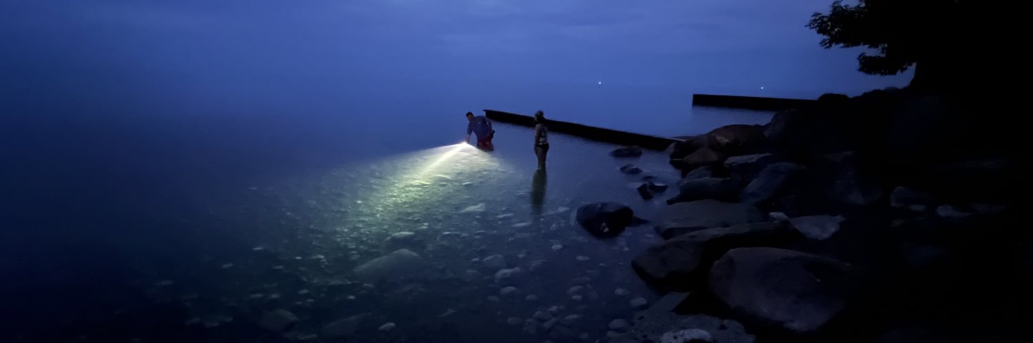 Mark Ostermann banner