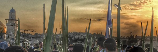 dovemerson Profile Banner