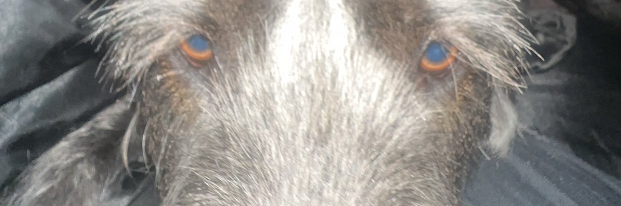 ᴶ banner