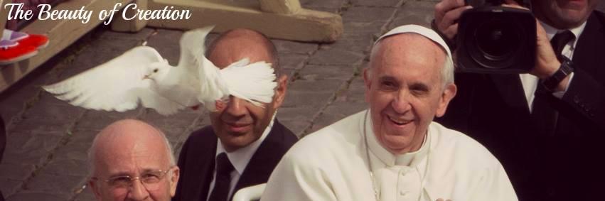 Laudato Si (draft) banner