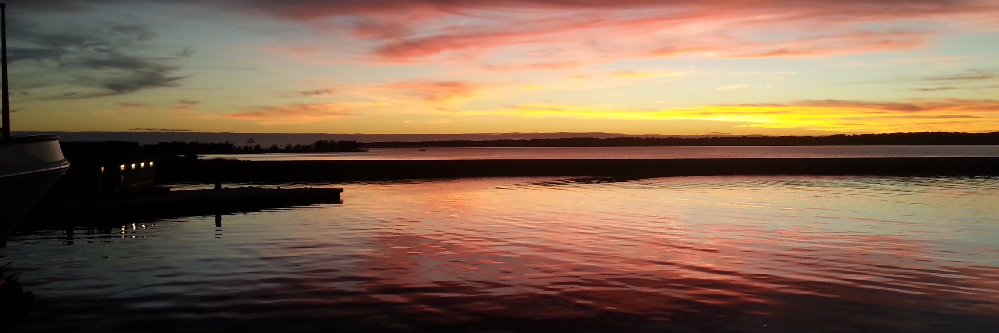 Stephanie Rebain banner