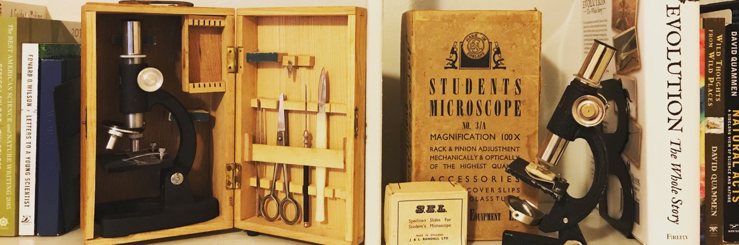 Dr. Erin Zimmerman🌿📝 banner