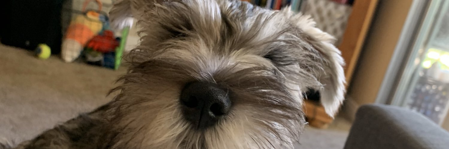 BaileyArinn's profile banner image