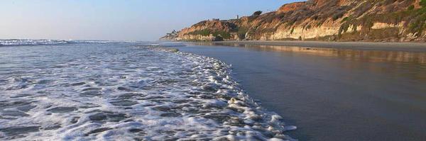 aoms_falcons Profile Banner