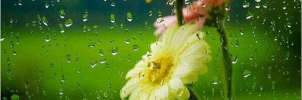 VersiculoDldia Profile Banner