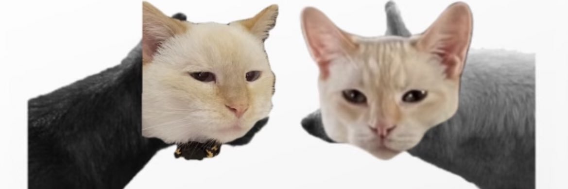 tadeckcox's profile banner image