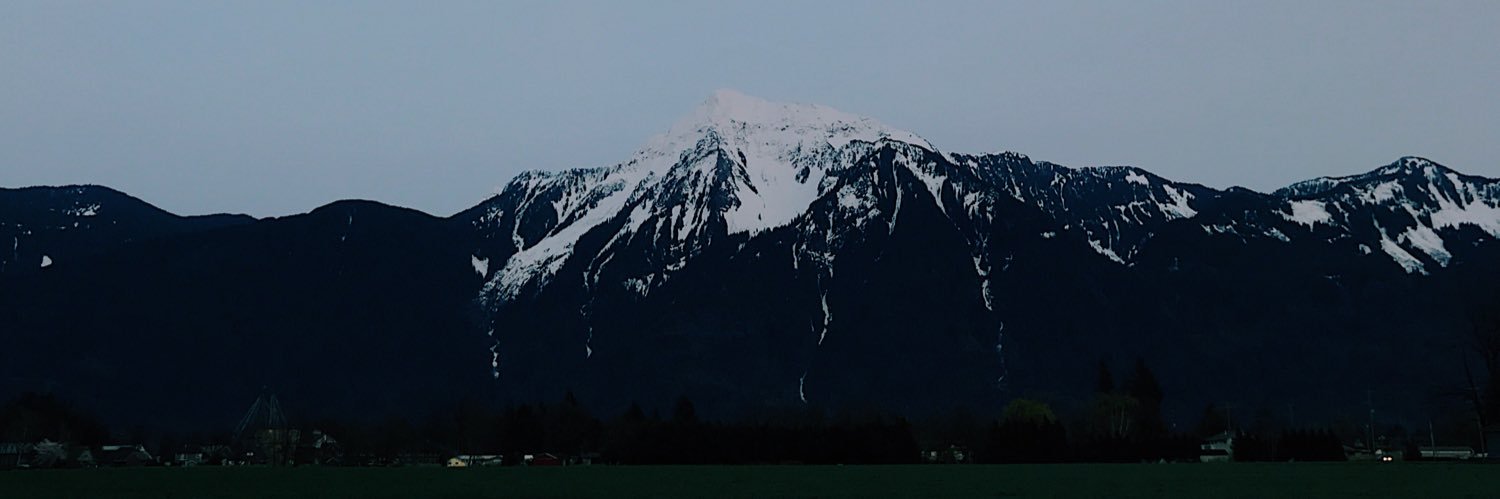 alanakauppi's profile banner image