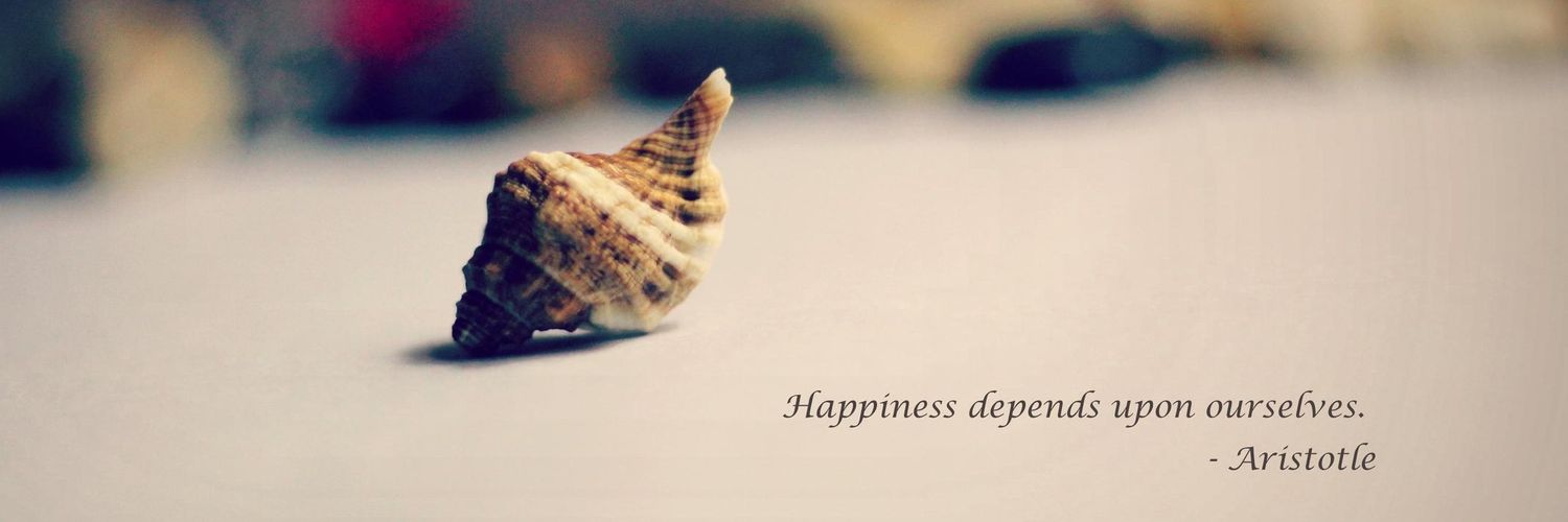 anish_hasda's profile banner image