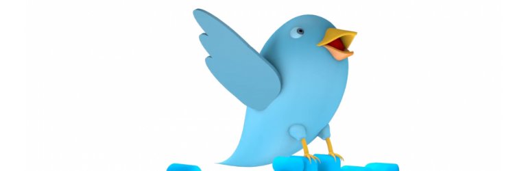 Kno_dali's profile banner image