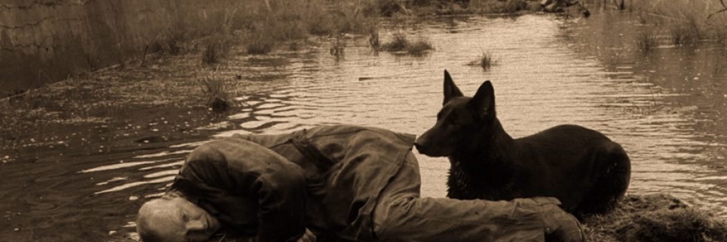 dgmt's profile banner image