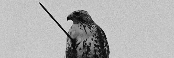 bnolasco_'s profile banner image