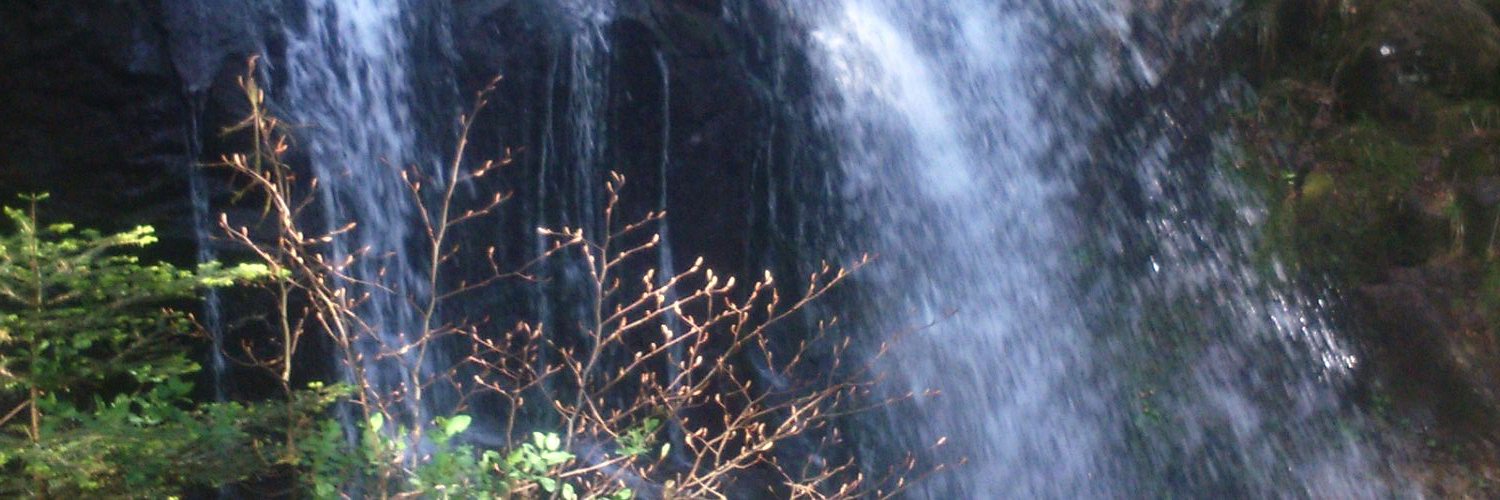 CalmesCyrille's profile banner image