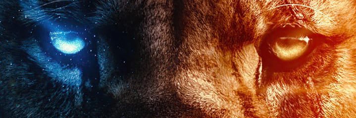 zzssnnn's profile banner image