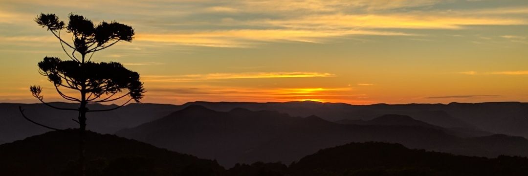 fahsouzaa's profile banner image