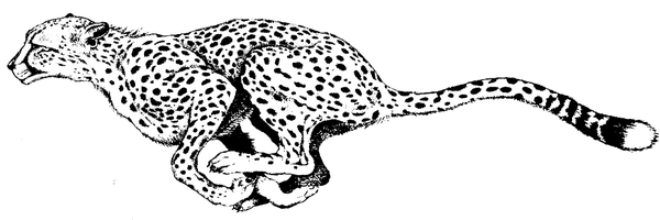 CSB94536 Profile Banner