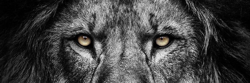 RealStriver_'s profile banner image