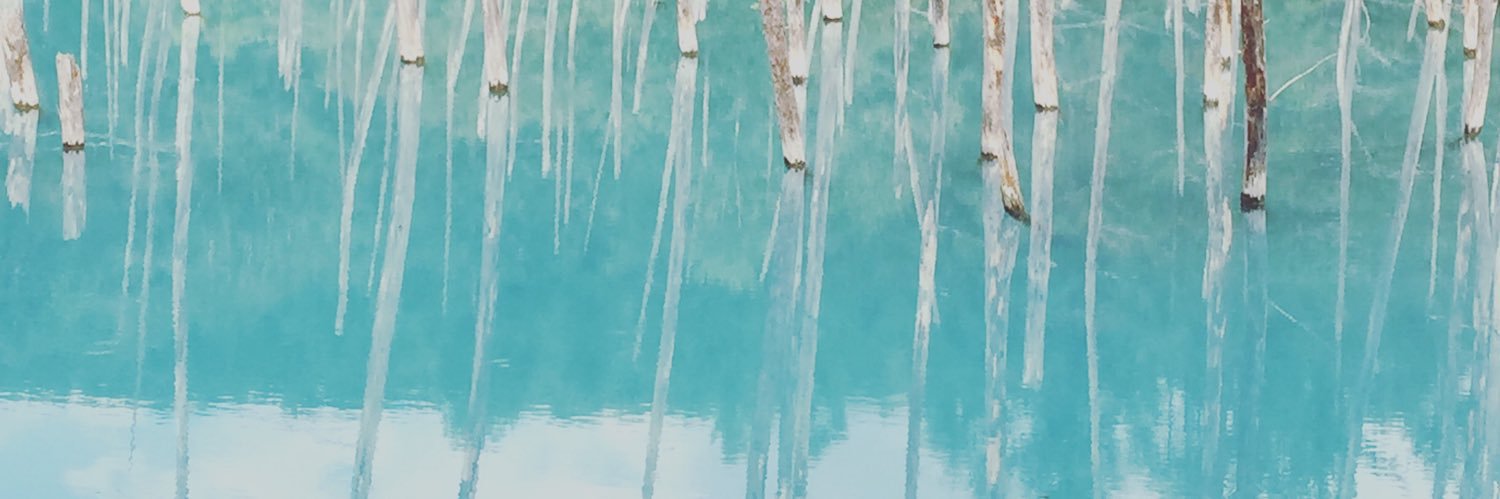 kotolier_SL's profile banner image