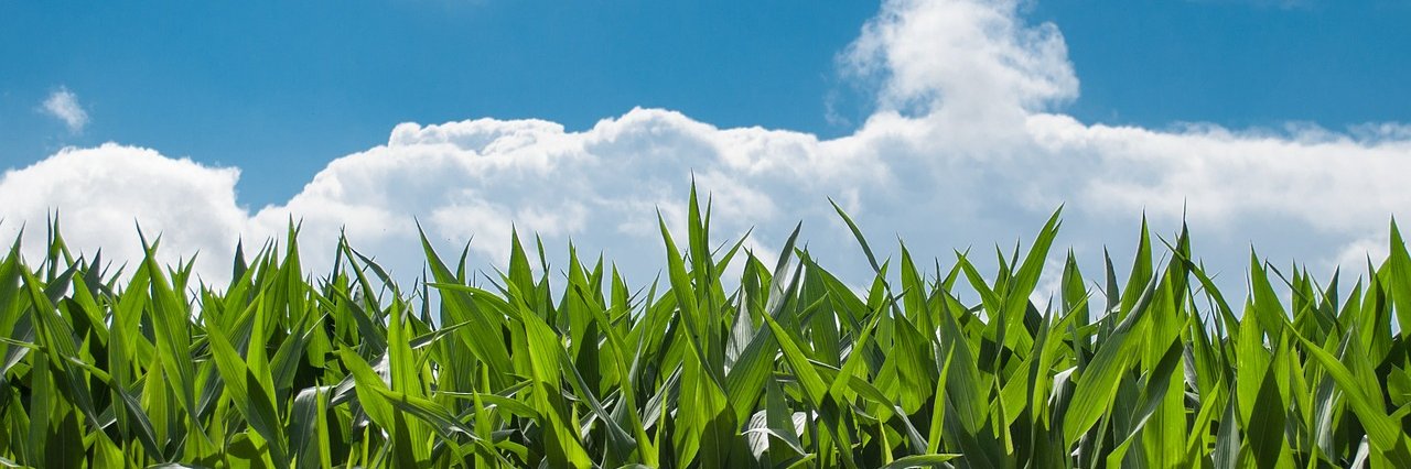 FoodshedNJ's profile banner image