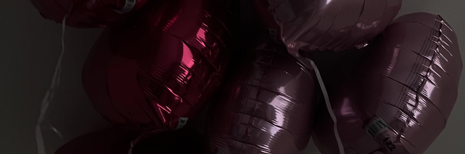 karinabris_'s profile banner image