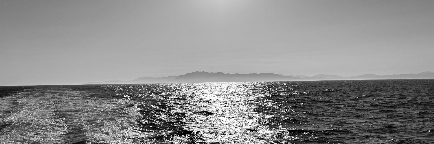 peterfelix's profile banner image